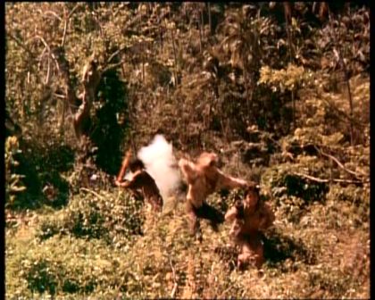 PDVD_1723.jpg