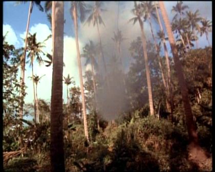 PDVD_1727.jpg