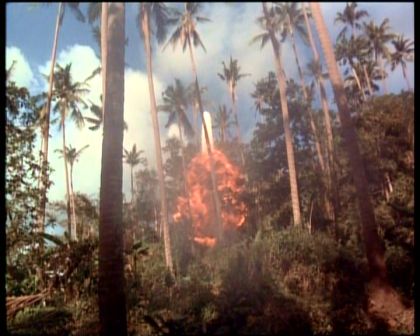 PDVD_1728.jpg