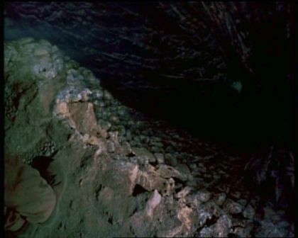 PDVD_175.jpg