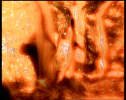 PDVD_1777.jpg