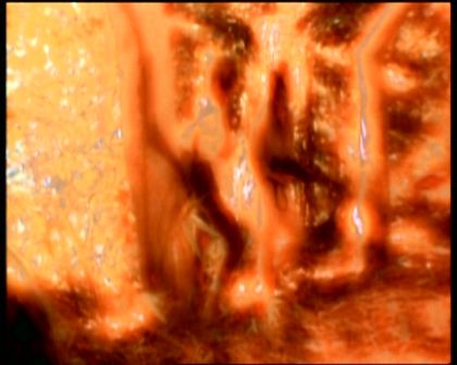 PDVD_1778.jpg