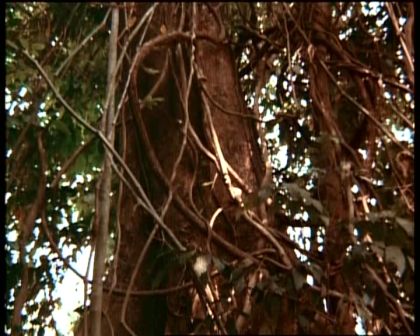 PDVD_1780.jpg