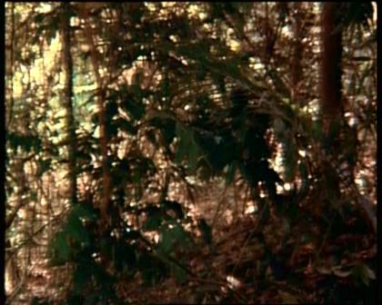 PDVD_1789.jpg