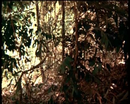 PDVD_1790.jpg