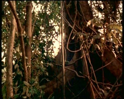 PDVD_1794.jpg