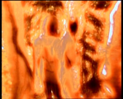 PDVD_1801.jpg