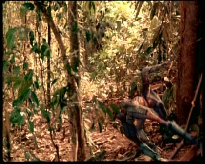 PDVD_1811.jpg