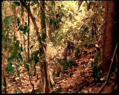 PDVD_1812.jpg