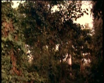 PDVD_1827.jpg