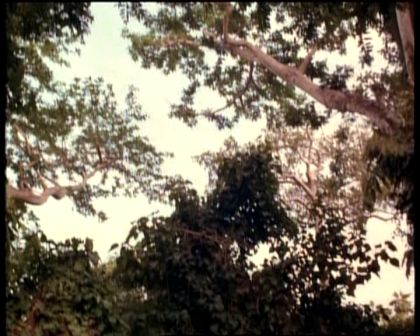 PDVD_1828.jpg