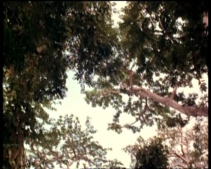 PDVD_1829.jpg