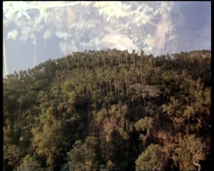 PDVD_1893.jpg