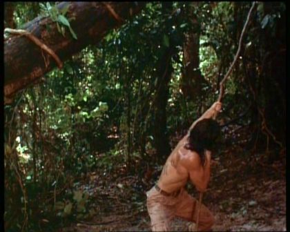 PDVD_1898.jpg
