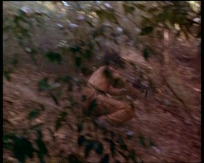 PDVD_1948.jpg