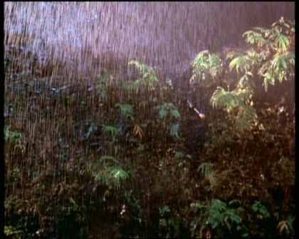 PDVD_1968.jpg