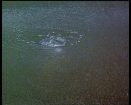 PDVD_1970.jpg