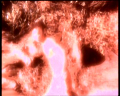 PDVD_1975.jpg
