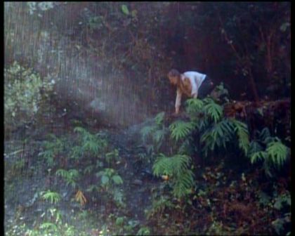 PDVD_1994.jpg