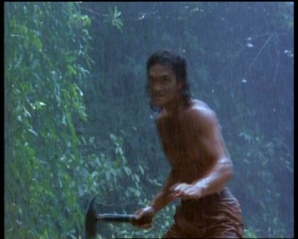 PDVD_2005.jpg