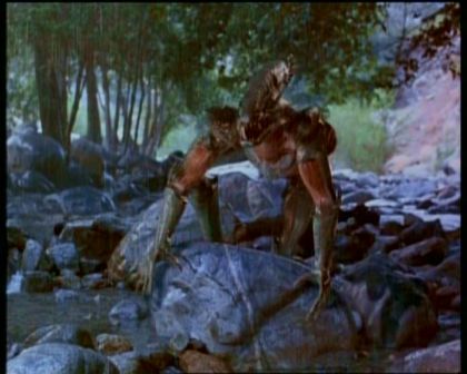 PDVD_2025.jpg