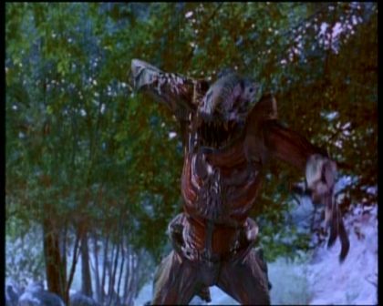 PDVD_2032.jpg