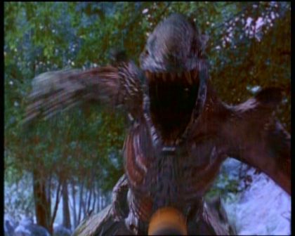 PDVD_2033.jpg