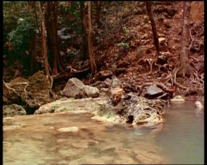 PDVD_2042.jpg