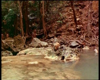PDVD_2043.jpg