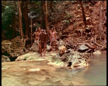 PDVD_2048.jpg
