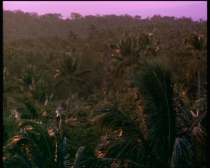 PDVD_2061.jpg