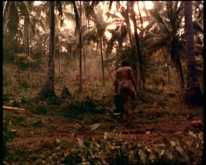 PDVD_244.jpg