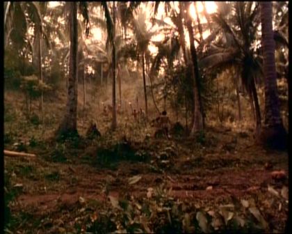 PDVD_245.jpg