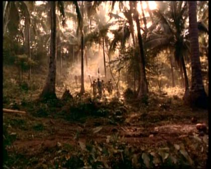 PDVD_246.jpg