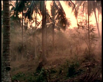 PDVD_251.jpg