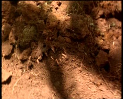 PDVD_273.jpg