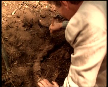 PDVD_297.jpg