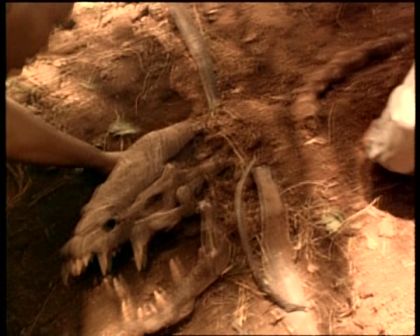 PDVD_298.jpg