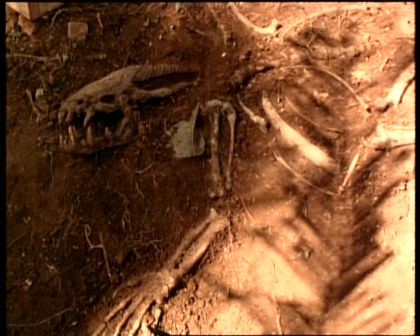 PDVD_304.jpg