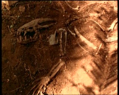 PDVD_305.jpg