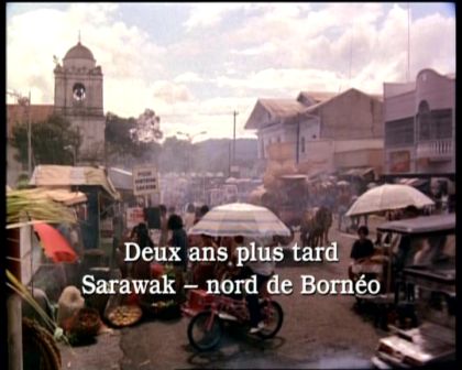 PDVD_306.jpg