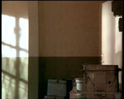 PDVD_346.jpg
