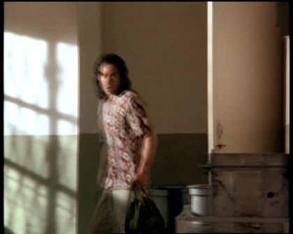 PDVD_347.jpg