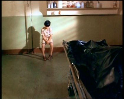 PDVD_353.jpg