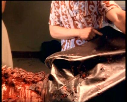 PDVD_370.jpg