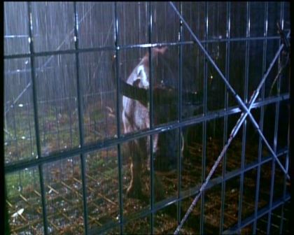 PDVD_407.jpg
