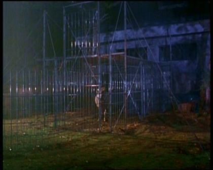 PDVD_414.jpg