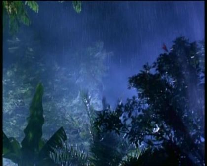 PDVD_416.jpg