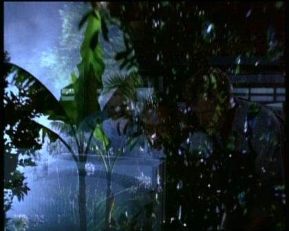 PDVD_420.jpg