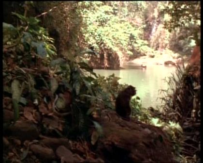PDVD_461.jpg